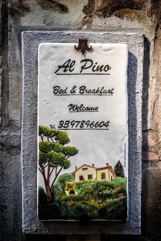 Al Pino B&B Гротаферата Екстериор снимка