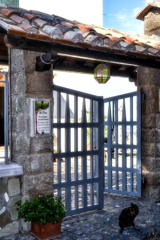 Al Pino B&B Гротаферата Екстериор снимка